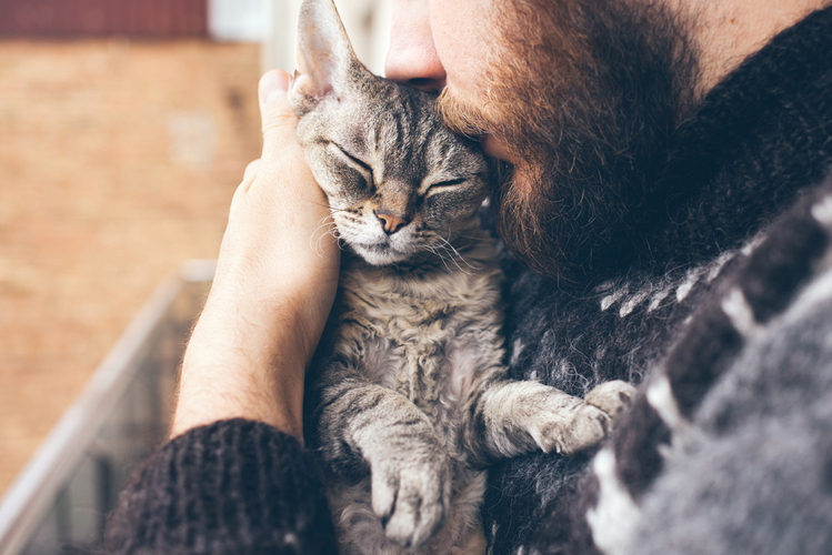 Zdjęcie Czy koty lubią ludzi? Wyniki badań mogą was zdziwić #2