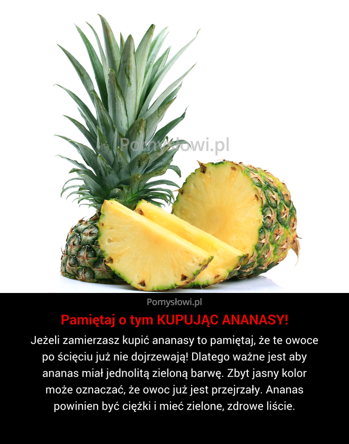 Jeżeli zamierzasz kupić ananasy to pamiętaj, że te owoce po ścięciu już nie dojrzewają! Dlatego ważne jest aby ananas miał ...