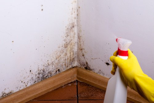 Zdjęcie Genialne zastosowania soli kuchennej w sprzątaniu! Nigdy więcej nie sięgniesz po chemiczne środki #1