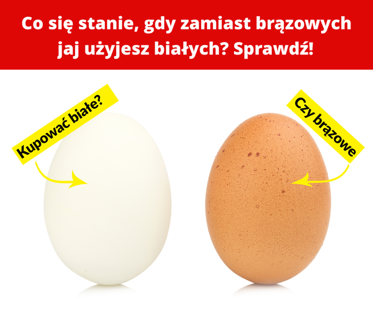 Co się stanie, gdy zamiast brązowych jaj użyjesz białych? Sprawdź!