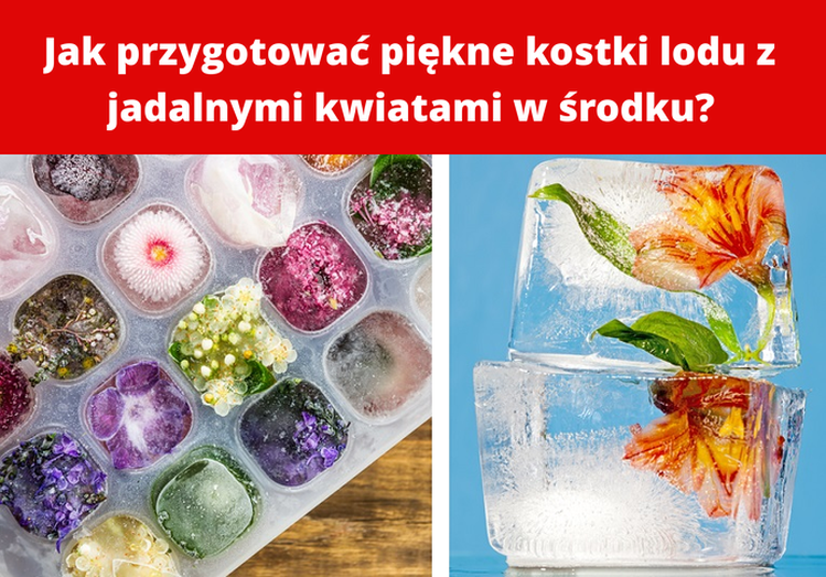 Jak przygotować piękne kostki lodu z jadalnymi kwiatami w środku?