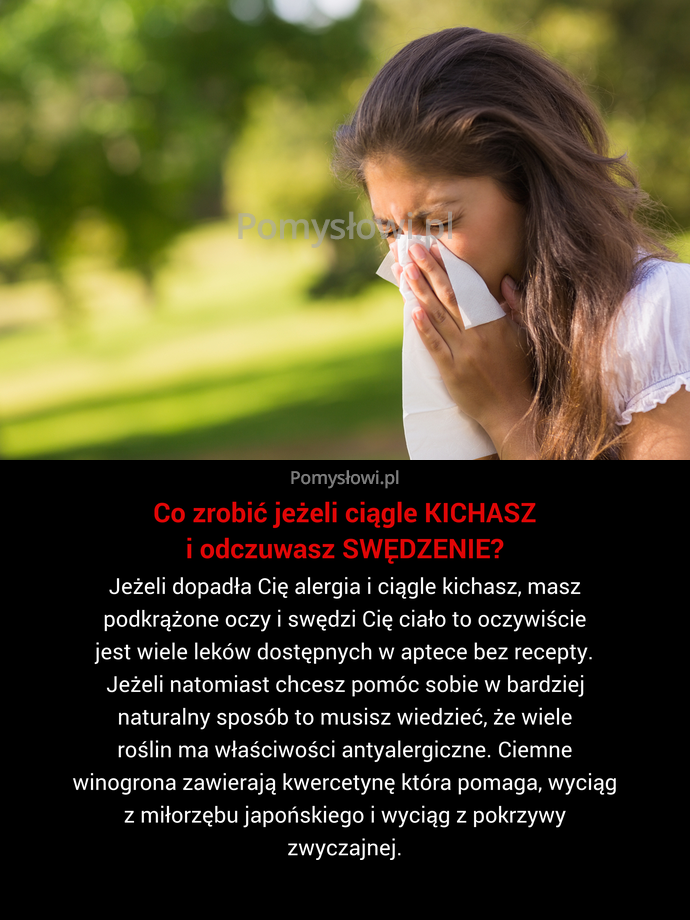 Jeżeli dopadła Cię alergia i ciągle kichasz, masz podkrążone oczy i swędzi Cię ciało to oczywiście jest wiele leków dostępnych ...