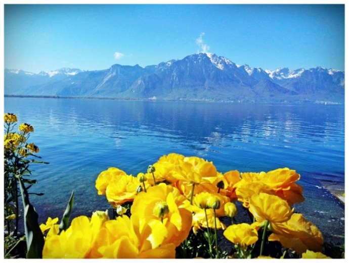 Co zwiedzić w Szwajcarii? Montreux