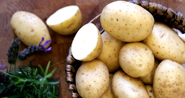 Zdjęcie Ziemniaki to źródło zdrowia. 4 powody, dla których warto je jeść #1